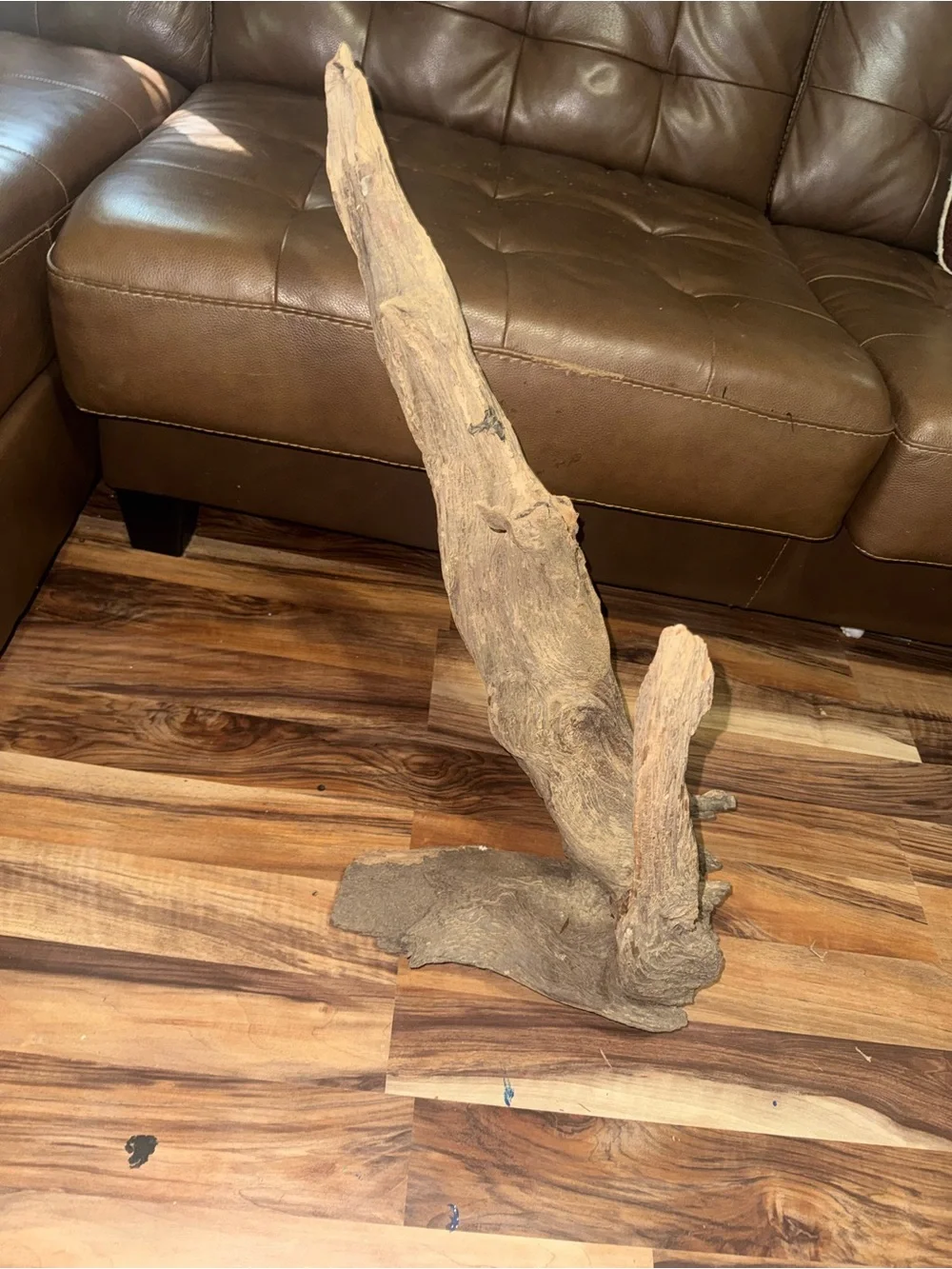 Natural Driftwood Decorative Sculpture or aquarium accessory